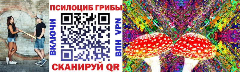 Псилоцибиновые грибы Psilocybine cubensis дарнет шоп Лесозаводск